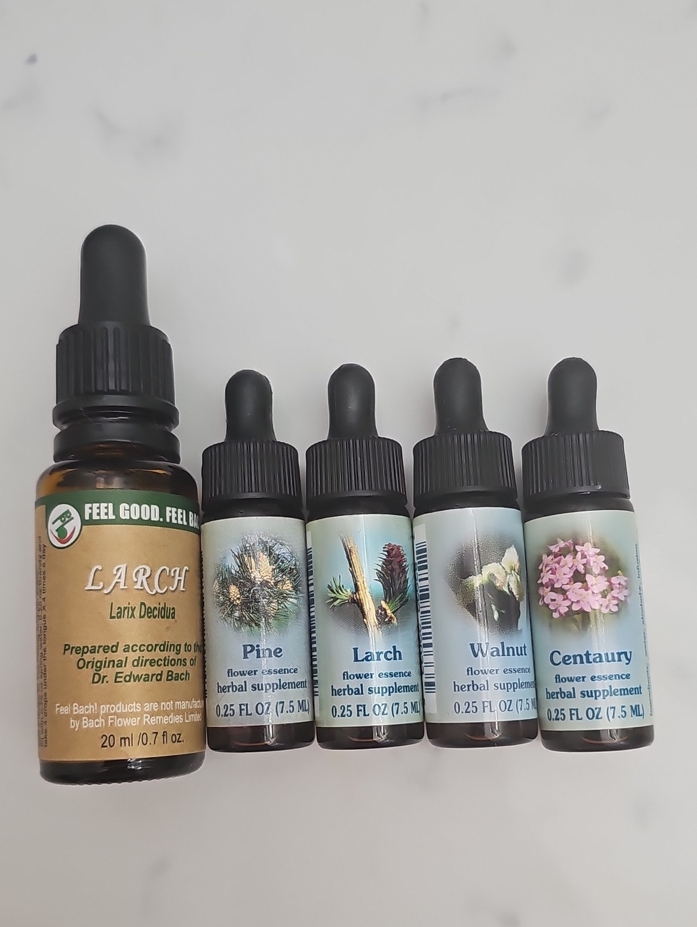 Larch Flower Essence Dropper Bottle - Brown/Black - Bach Flower Style